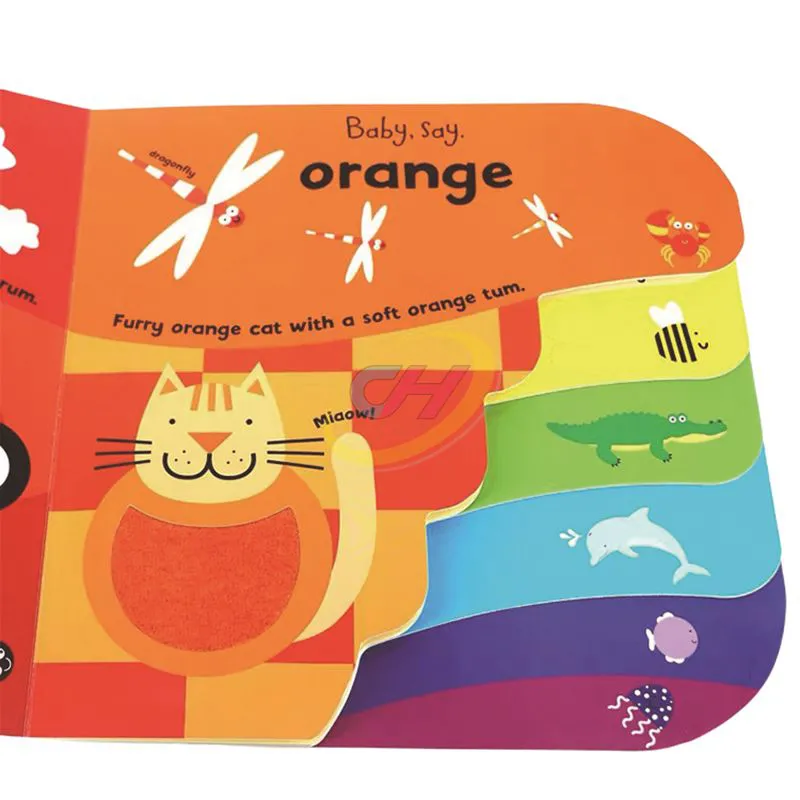 Custom Rainbow Kid Learning Board Book | Color & Weather Discovery Activities