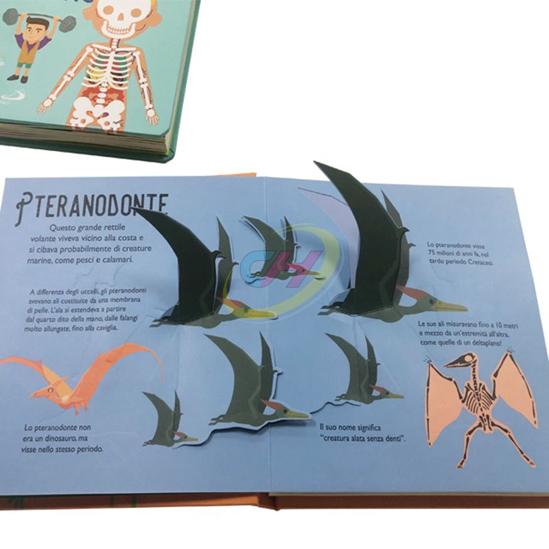 Dinosaur Pop-Up Adventure Board Book Interactive 3D Toddler-Safe & Eco-Friendly