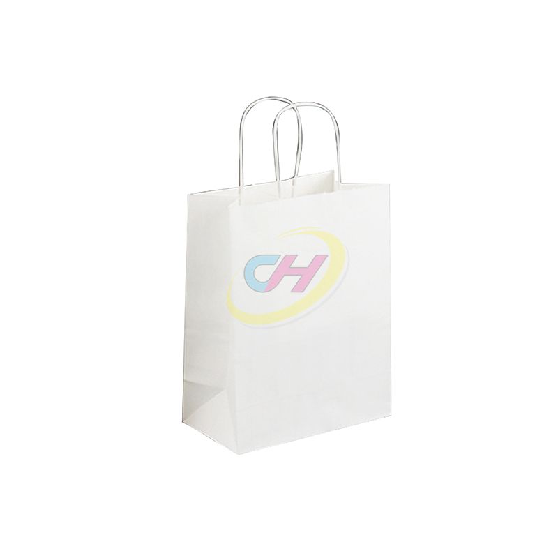 Solid Color Simple Eco-Friendly Paper Shopping Bags – Customizable Recyclable Carry Bags for Retail, Groceries & Brand Promotions