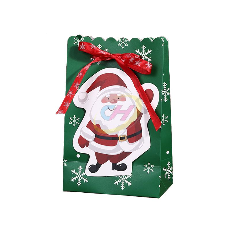 Whimsical Christmas Themed Gift Bags (Stocking, Santa & Sleigh Designs)