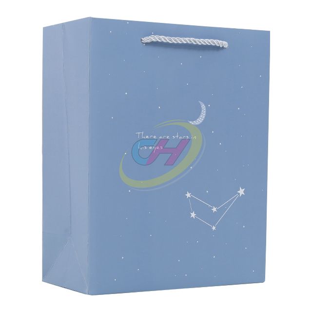 Minimalist Starry Pattern Gift Paper Bag (Multi-Color)