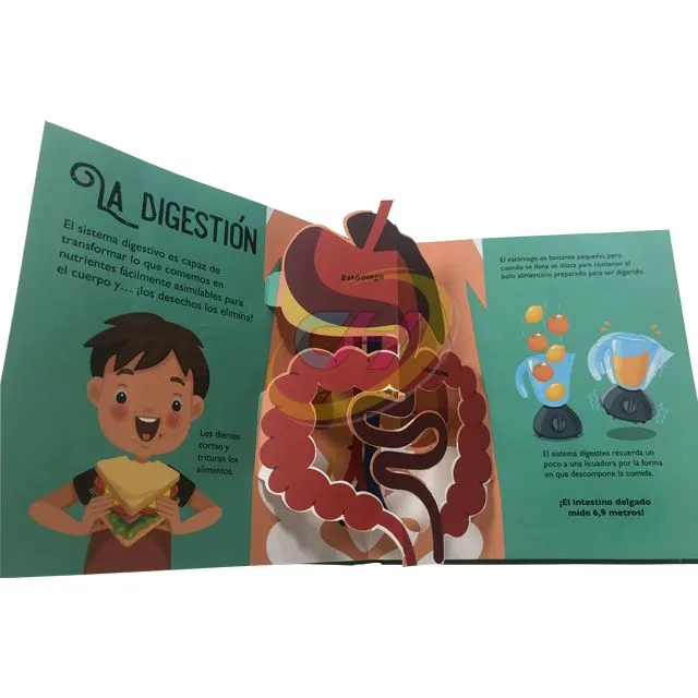 Kids' Human Body Recognition 3D Pop-Up Book: Science Enlightenment Lift-the-Flap Book for 3-6 Years Old