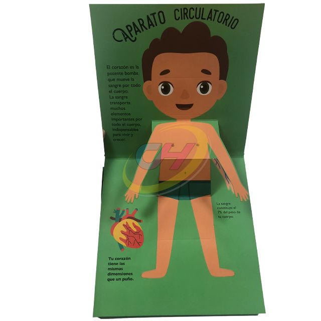 Kids' Human Body Recognition 3D Pop-Up Book: Science Enlightenment Lift-the-Flap Book for 3-6 Years Old