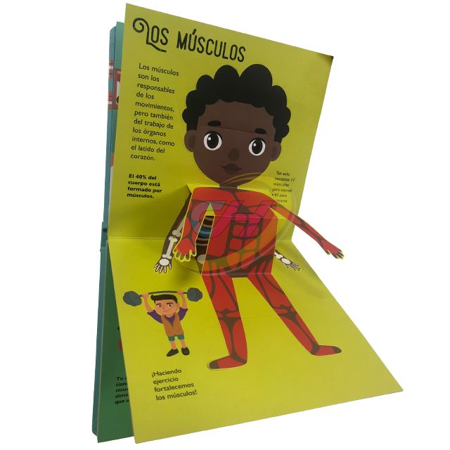 Kids' Human Body Recognition 3D Pop-Up Book: Science Enlightenment Lift-the-Flap Book for 3-6 Years Old