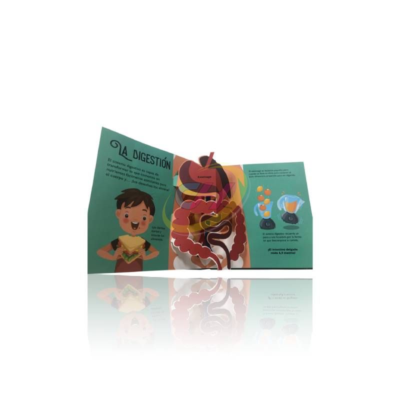 Kids' Human Body Recognition 3D Pop-Up Book: Science Enlightenment Lift-the-Flap Book for 3-6 Years Old