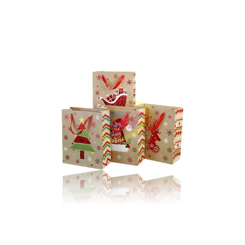 Charming Assorted Christmas Gift Bags (Santa, Reindeer & Sleigh Designs)