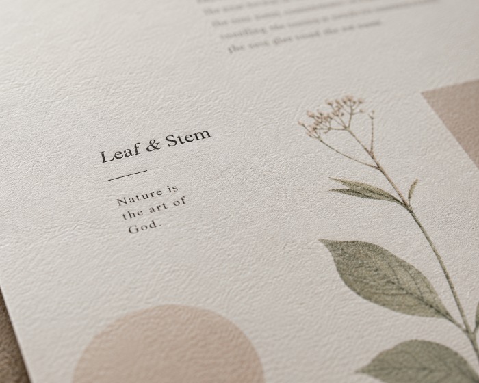 Matte Paper Close-Up