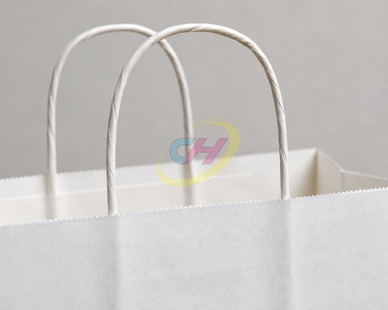 Paper Rope Handles